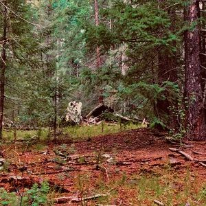 Meet your Posher, Adryanna